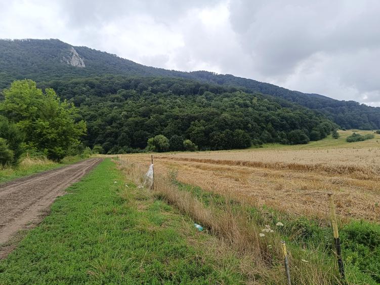 Brașov Bartolomeu,str Cucului , Intravilan 16.500 mp, dezvoltare rezidentiala - 1