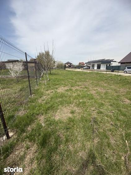 Teren Domnesti 840mp - 6