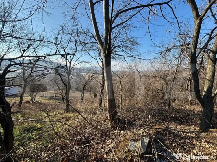 Teren intravilan de vanzare, 17700 mp Zalau - 2