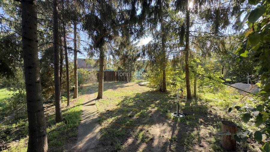 Casa de vinificatie 2 camere cu Teren 1389 mp - Gradina Viilor ,,Nyulhat,,-Carei Casa de vinificatie 2 camere cu Teren 1389 mp - Gradina Viilor ,,Nyulhat,,-Carei