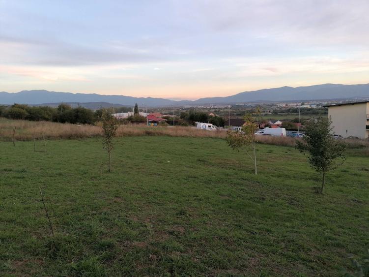 Teren constructii strada Macesului - 7