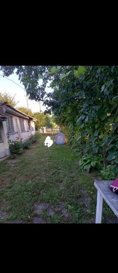 Casa batraneasca nelocuibila cu teren 730mp Olari, Prahova - 1