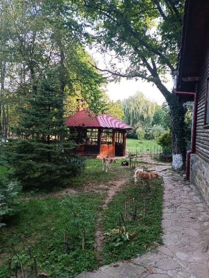 de vanzare proprietate (fosta pensiune) pe malul raului Teleajen - 8