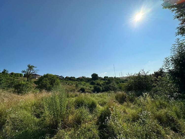 Teren de vanzare in Feleac, Intravilan - 5