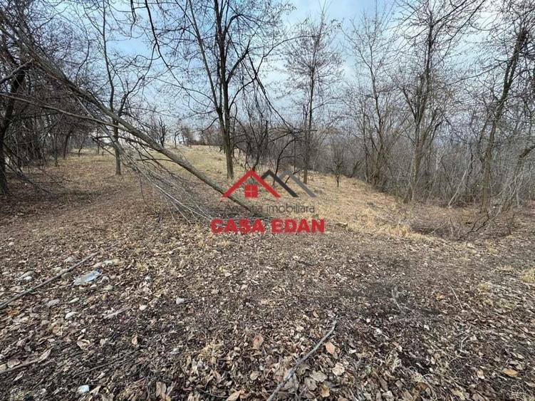 Teren intravilan in Cornu--3074m--90.000e - 1