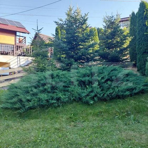 Casa de vanzare in Vatra Dornei, 65 mp amprenta la sol - 20