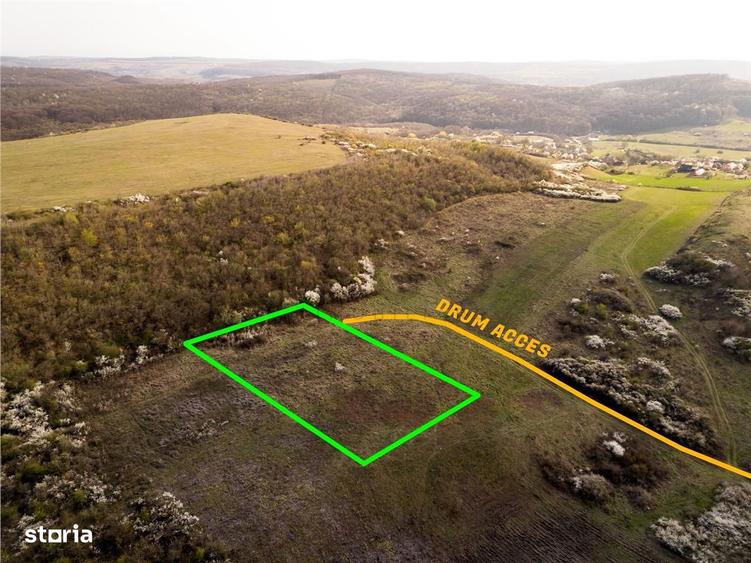 RECO Teren exclusivist 1800 mp in Betfia panorama superba - 4