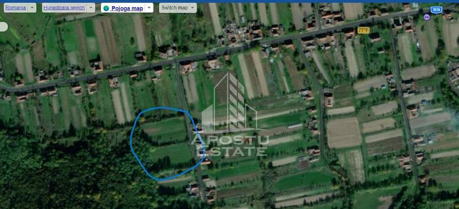 Teren intravilan, partial imprejmuit, eligibil grant- Poj... - 7