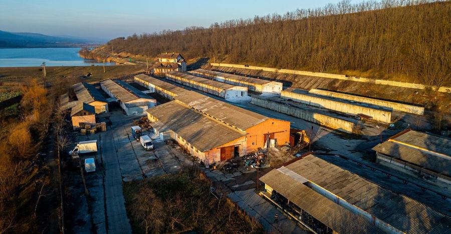 Fosta Ferma a Partidului de la Horgesti - de vanzare - 26