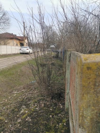 Casa batraneasca Zanoaga - 2002 mp teren - 5