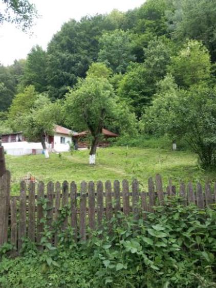 Vand Casa La Munte - 7