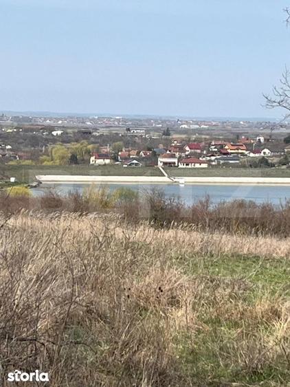 Teren intravilan de vanzare, 9783 mp, Paleu zona Iacului - 3