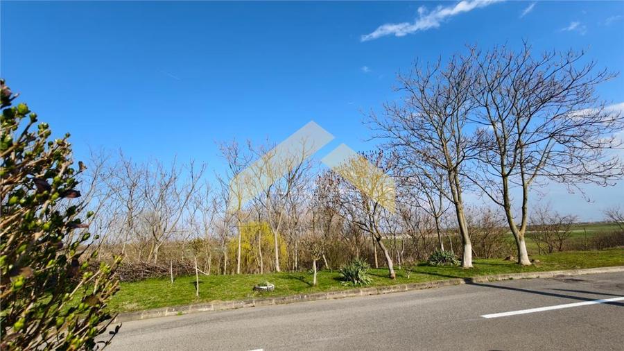 Casa la sol Sannicolau Mic de vanzare - 8