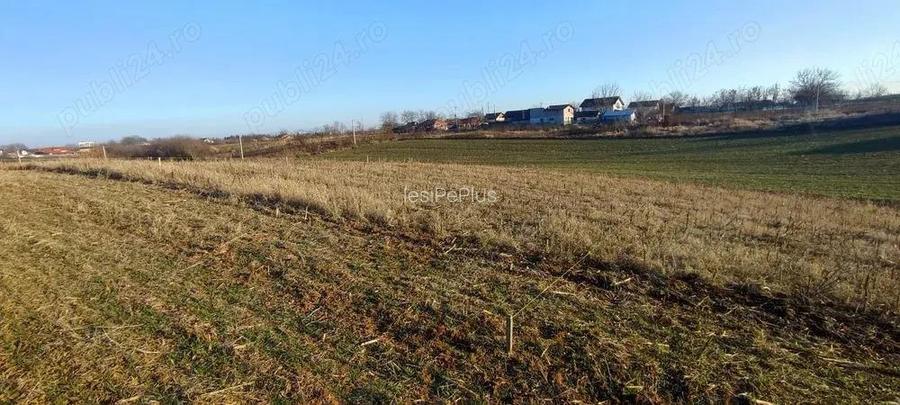 Teren 6.000 mp cu deschidere 30 m la drum asfaltat utilita?i la poarta, zona Peri?, 30 min BANEASA