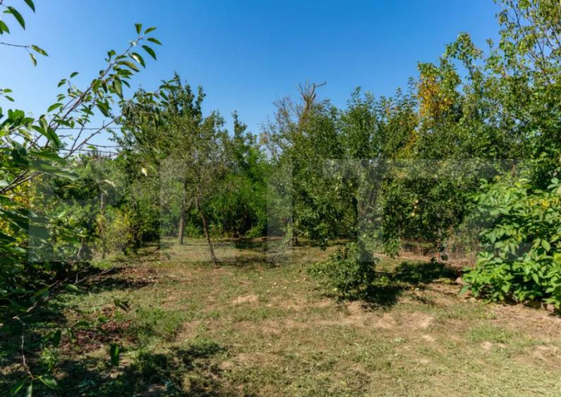 Casa de vanzare in Rovina(Branisca) - 7