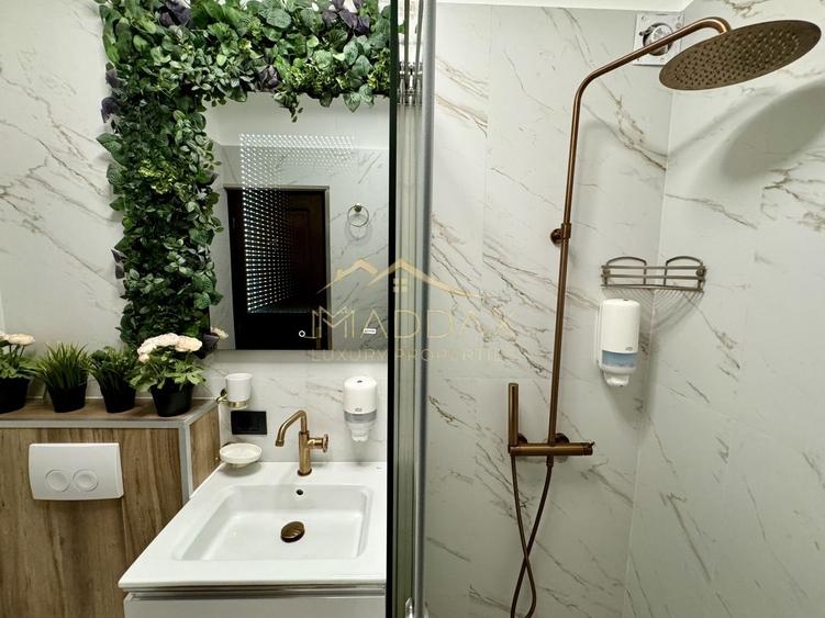 Apartament cu 4 camere / Posibilitate investitie / Arcul de Triumf - 17