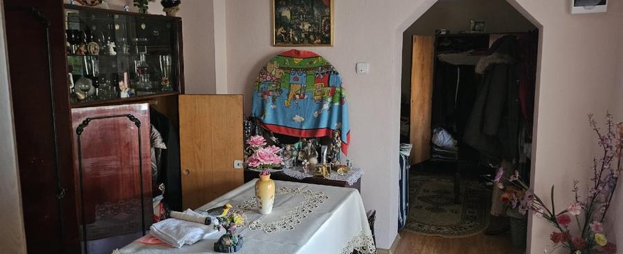 Casa de vanzare cu teren - 10