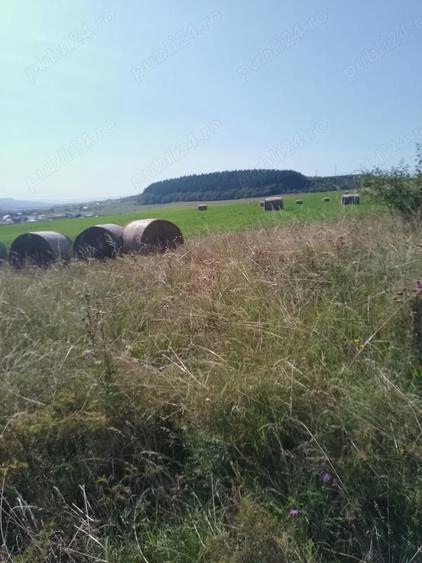 Chinteni 40 euro mp - 3