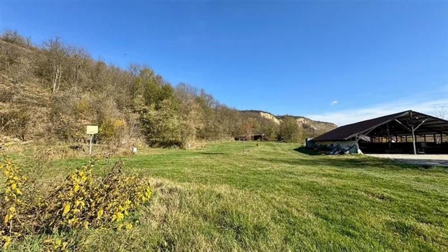 Transilvania Camping, domeniu de 14.400mp, Sanmarghita de Mures:2cladiri, aparta - 55