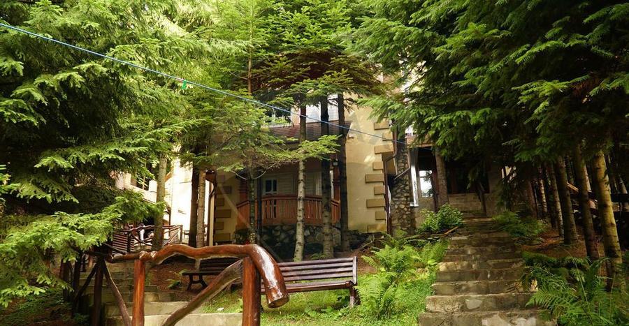 DE VANZARE Pensiune | 12 camere | Bisoca / Buzau - 4