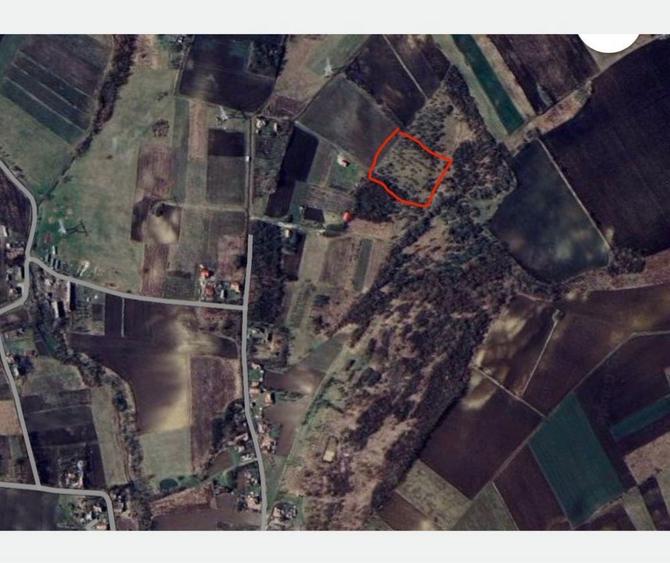 Vand Teren cu livada - 1
