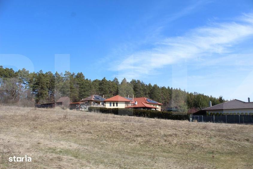 Doua terenuri de vanzare, in Panorama Lumii - 1