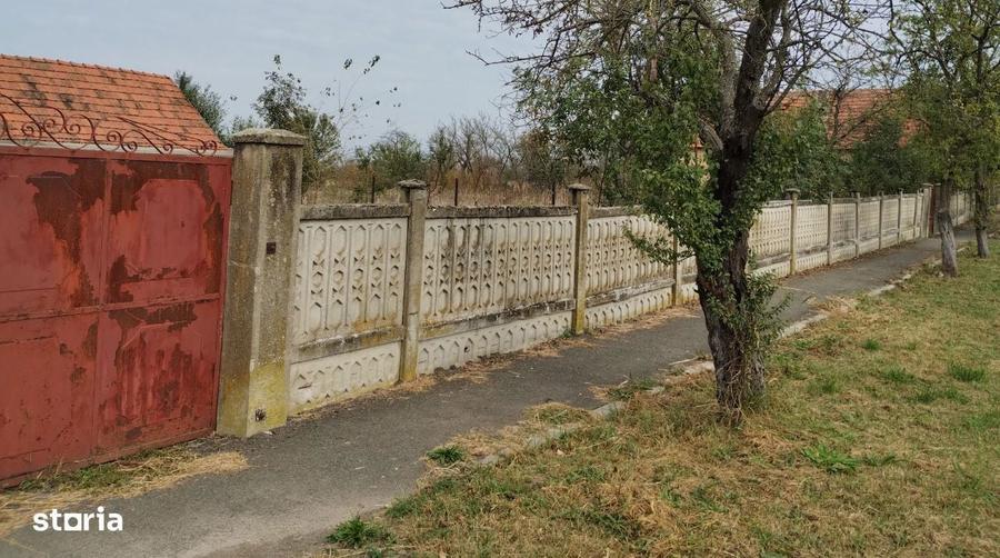 Casa veche din 1955 si teren intravilan 6153 mp, Sinersig,Jud Timis - 3