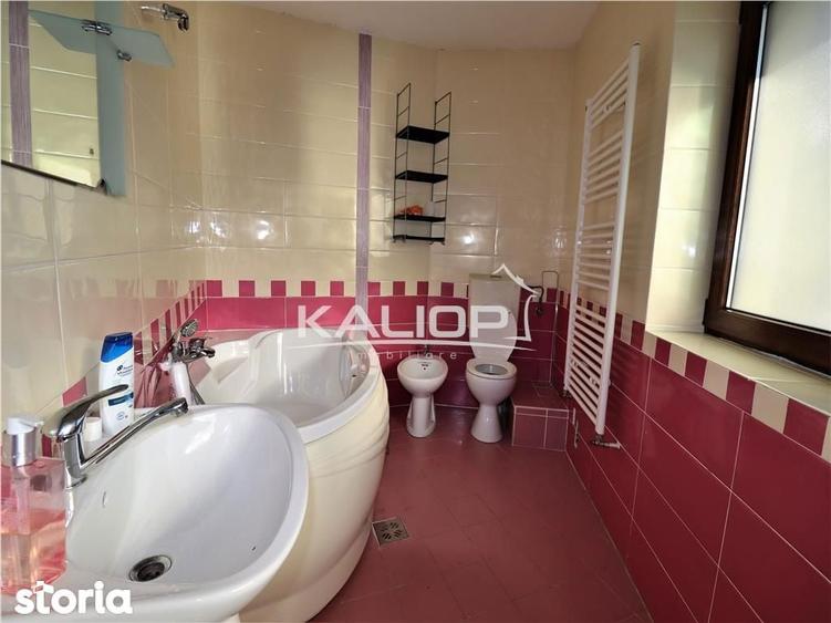 Casa individuala | 8 camere | 1200 mp | Piscina | Crama | Garaj | Fage - 20