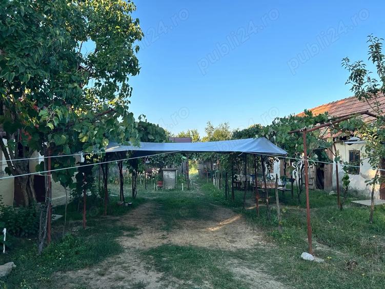 Vand casa batranesca + 1000mp teren intravilan, com. Dragutesti, sat Urechesti - 3