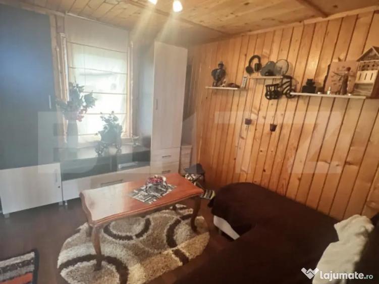 Cabana de lemn- Vatmani - 2