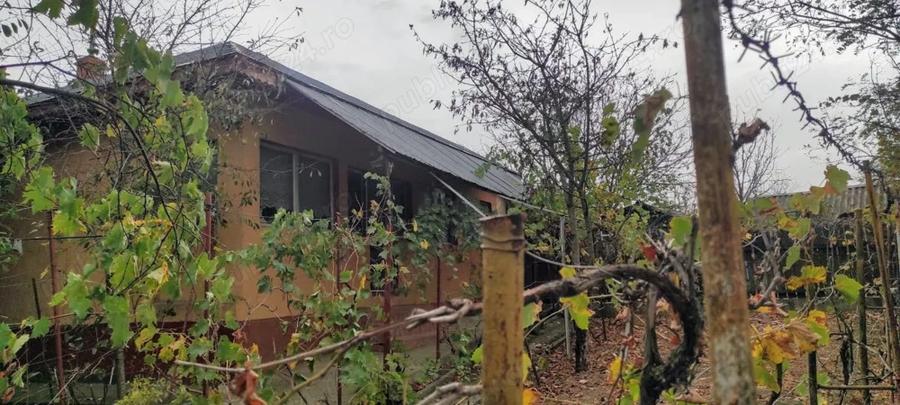 Casa de vanzare la Saraiu - 3