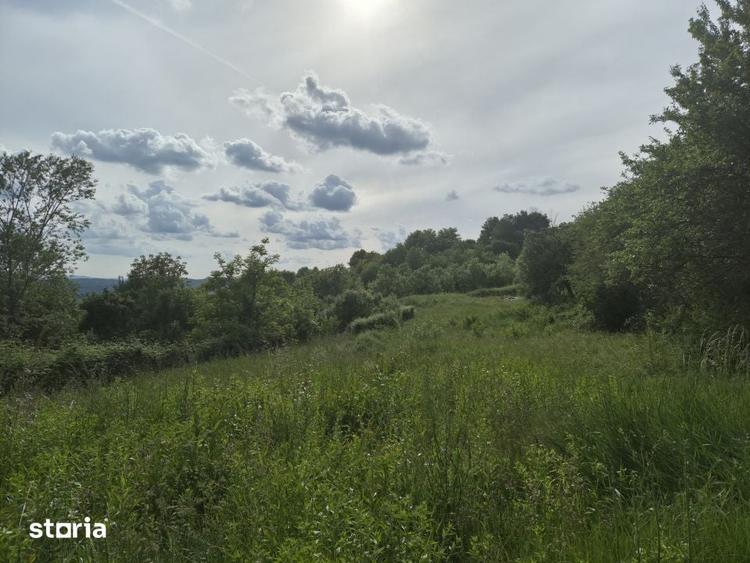 Teren Intravilan - Generos (2800 mp) - Zona superba foarte aproape de - 2