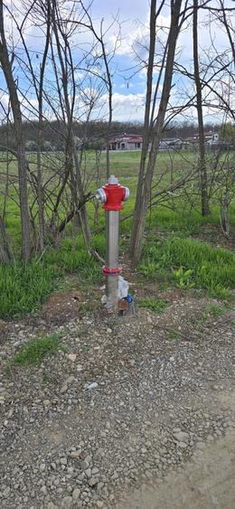 Snagov Ciofliceni Padure - 4