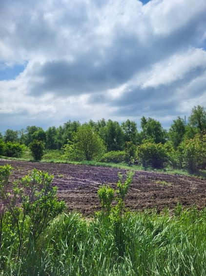 VANZARE TEREN INTRAVILAN DN1 - 3