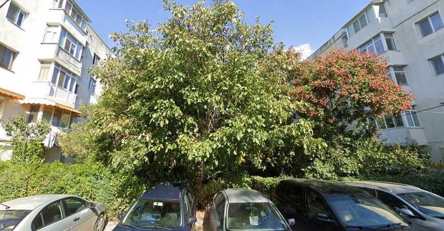 Inchiriez garsoniera bloc de apartamente Micro XIV - 3