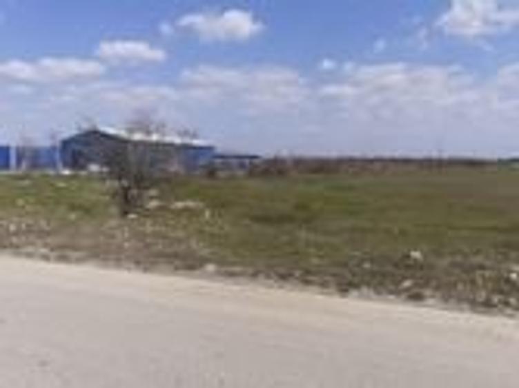 Teren intravilan 10.000 -38.000 mp industrial 1 Decembrie- DN5 stradal - 4