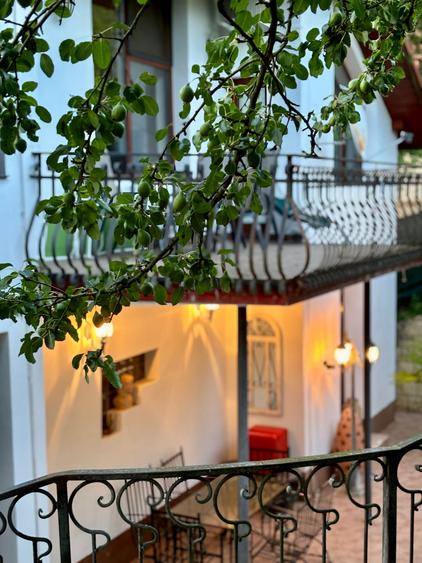 Casa 500 mp cu teren 1 hectar si piscina 100 mp Ghioroc, jud. Arad - 5