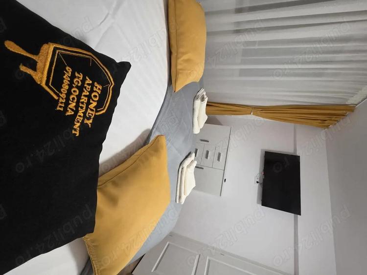 Apartament Targu Ocna - 3