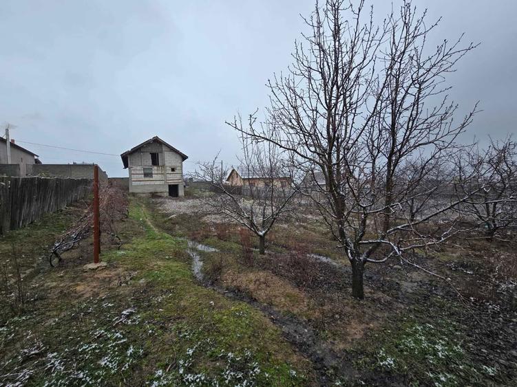 Casa S+P+1 Campul Mare, Albeni - 3