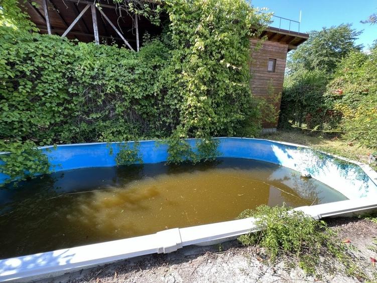 Casa-langa studiourile Buftea, 2 constructii, curte cu pomi, 2300mp, langa lac - 38