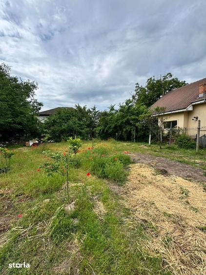 Casa si teren de vanzare 948mp Campia Islaz, Oportunitate de invest - 10