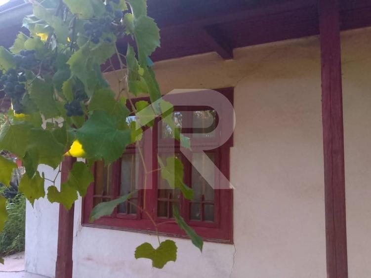 Exclusivitate_Lipia (Gruiu IF)- Casuta Bunicii - 3