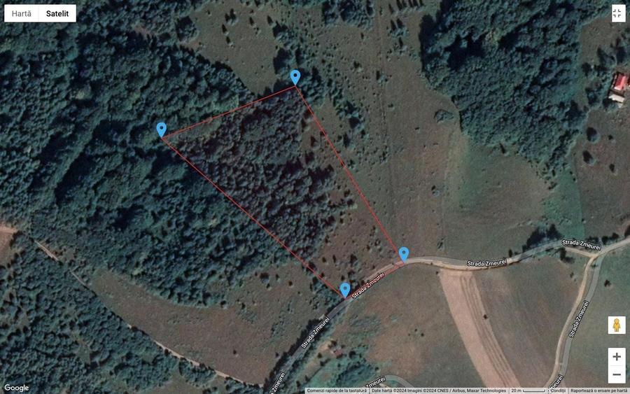 De vanzare 16250 mp teren Sinteu - 3