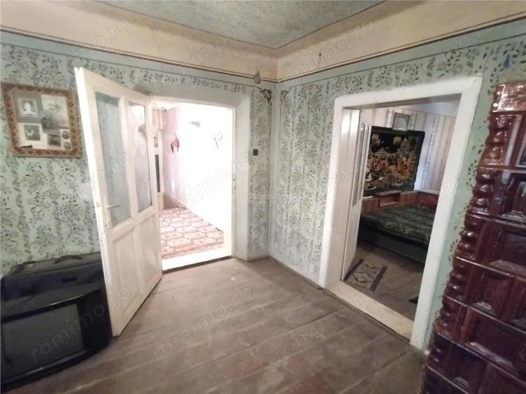 Bogodint, Casa cu 4 Hectare Teren, Pret Negociabil - 19