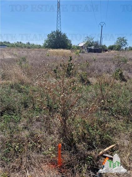 Teren 1491 mp in zona rezidentiala din Ciorogarla - 12