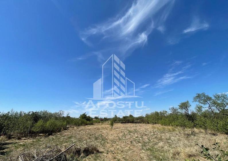 Casa cu teren 3407 mp, la asfalt, Seceani, 26 km de Timis... - 4