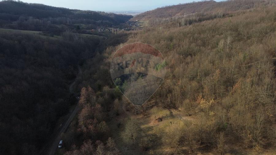 Poiană pentru cabana de vanzare intravilan Coas - 8