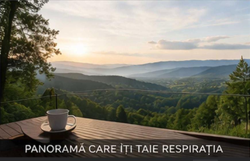 Refugiu unic pe Valea Prahovei 5000 mp cu padure, intimitate totala si panorama spectaculoasa - 1