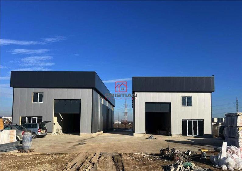 Depozit/hala/spatiu industrial Domnesti - Centura - 9