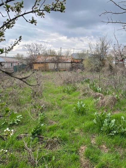 Casa cu teren 789 metri patrati Cismele - 2